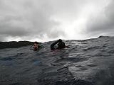 Isla del Coco - 154
